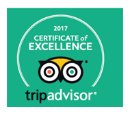 2017 Certificate of Excellence
